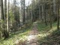 cheile-slanicului2