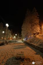 Iarna In Parcul din Slanic Moldova