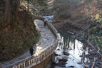slanic-moldova-statiunea.jpg