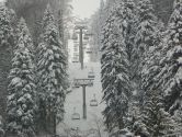 Teleschi partia Slanic Moldova