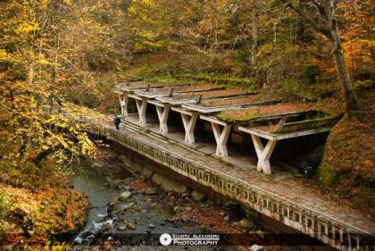 Zona Izvoarelor - peisaj de toamna