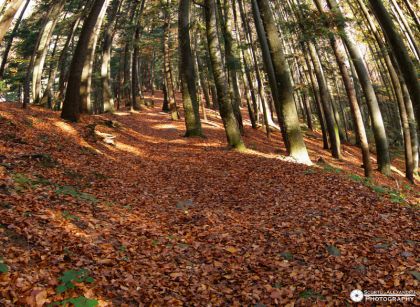 Traseul 300 de scari