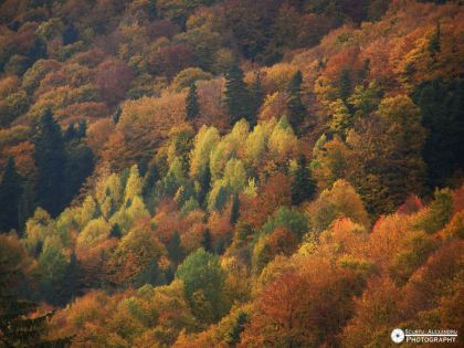 Muntele Nemira Toamna